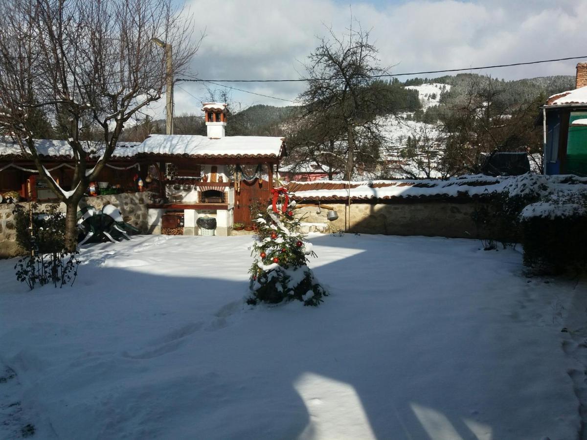 Guest House Bolyarka Koprivstica Kültér fotó